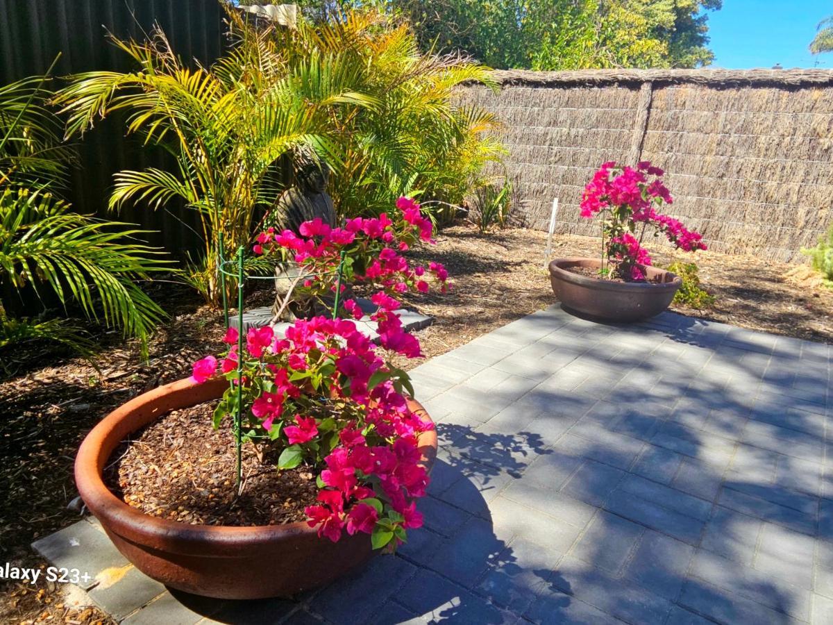 Tranquil Gumnut Cottage - Close To Airport 퍼스 외부 사진